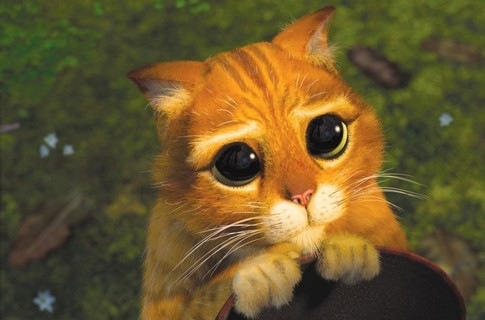 №2, Александр Чесалин №2, Александр Чесалин