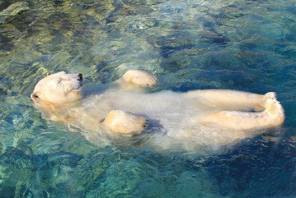 Михаил Степанов Сергеевич | Москва