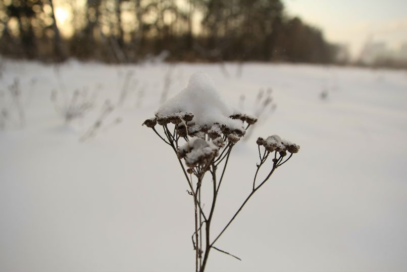 Дарья Дегтярева | Москва