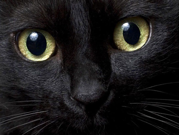 Надя Драчева | Санкт-Петербург