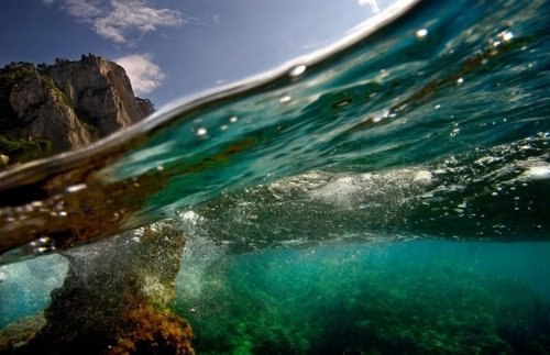 Алина Петренко | Донецк