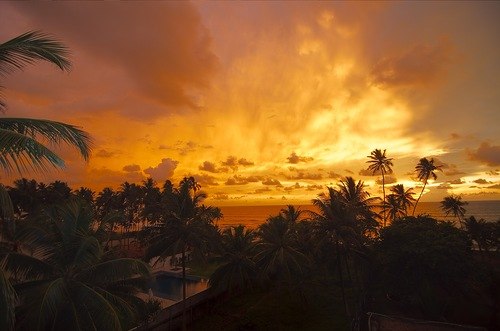 Алла Прошкина | Санкт-Петербург