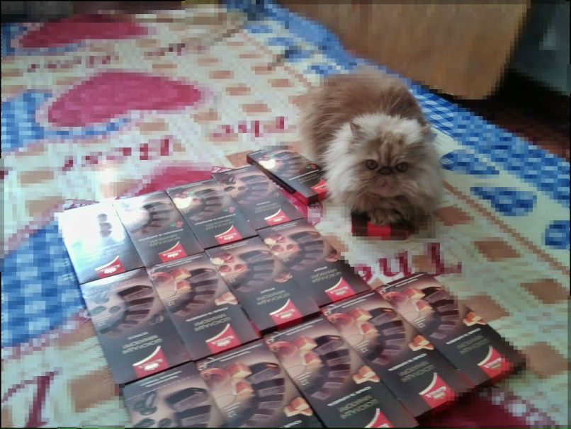 Кристина Казновецкая | Николаев