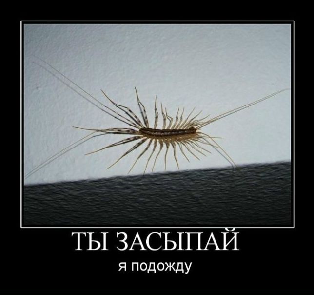 №13, Алексей Лазарев, Севастополь №13, Алексей Лазарев, Севастополь