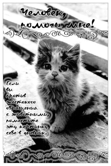 №158, Юлия Шевченко №158, Юлия Шевченко