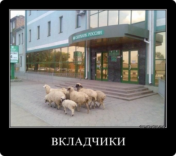 Любовь Золотницкая | Санкт-Петербург