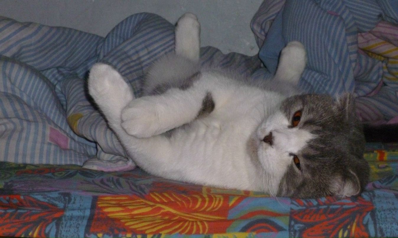 Александра Николина | Москва