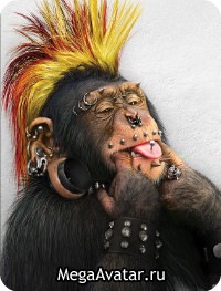 №14, Лёха Скаредин №14, Лёха Скаредин