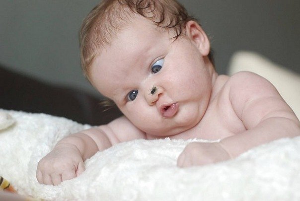 Вероника Емельяненко | Санкт-Петербург