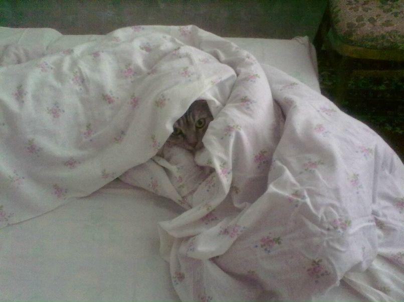 Таня Светличная | Ростов-на-Дону