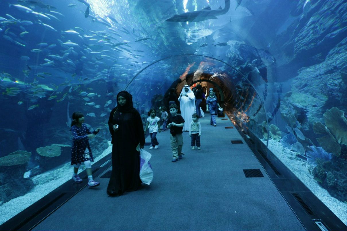 Екатерина Соколова | Санкт-Петербург