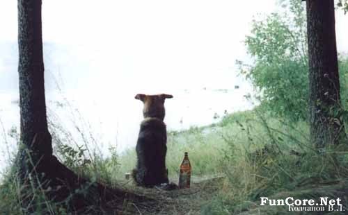 Борис Мартынюк कमेन्ट संगीतले मलाई प | 