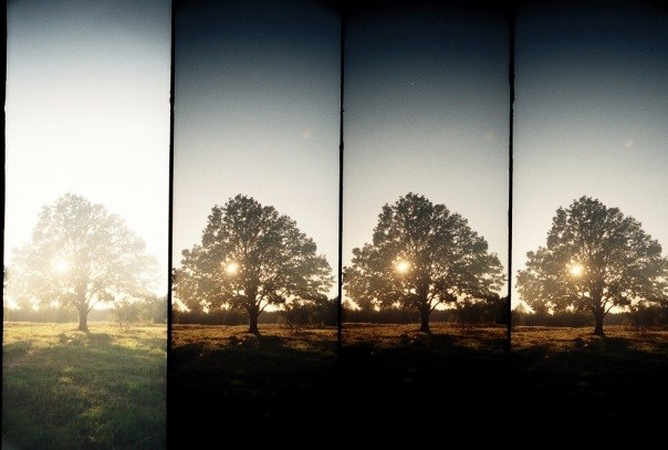 Lilya Bartysh | Львов