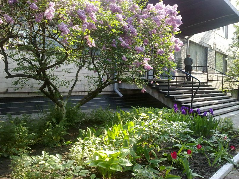 Olya Burjanova | Кропивницкий / Кировоград