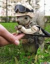 Фотография Миргородской Натальи