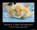 Фотография Мишка Антонов