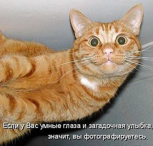 Александр Корякин | Новокузнецк