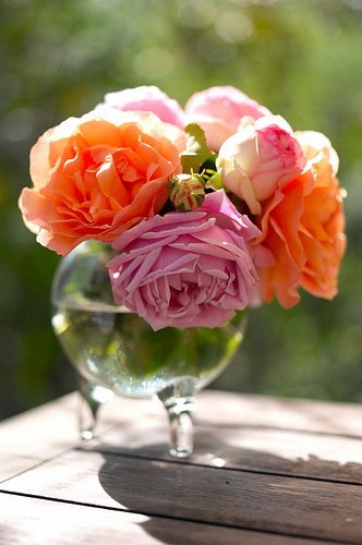 Анна Щербакова | Севастополь