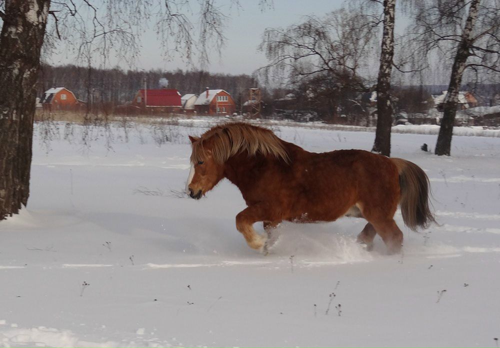 Галя Бурухина | Москва