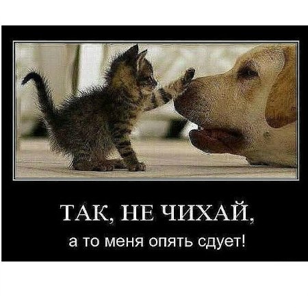 Артем Студеникин (((Dance for Life))) | Волгоград