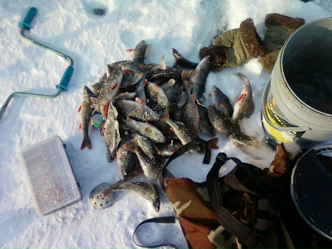 Владимир Мамаев | Ильинский