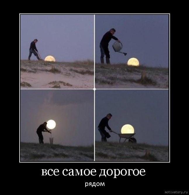 Капитан Очевидность | Волгоград