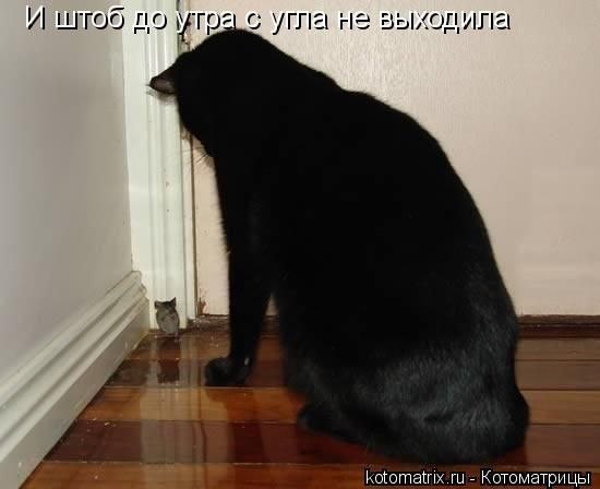 №40, Алексей Рогач, 27 лет, Киев №40, Алексей Рогач, 27 лет, Киев