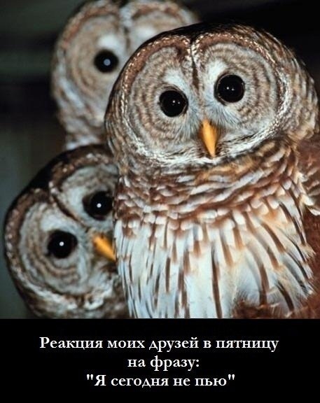 Артур Камалов | Уфа