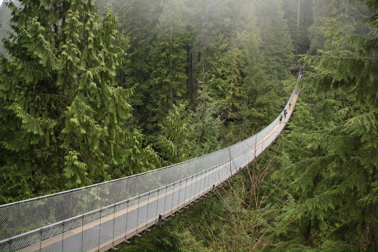 Светлана Попова | Москва