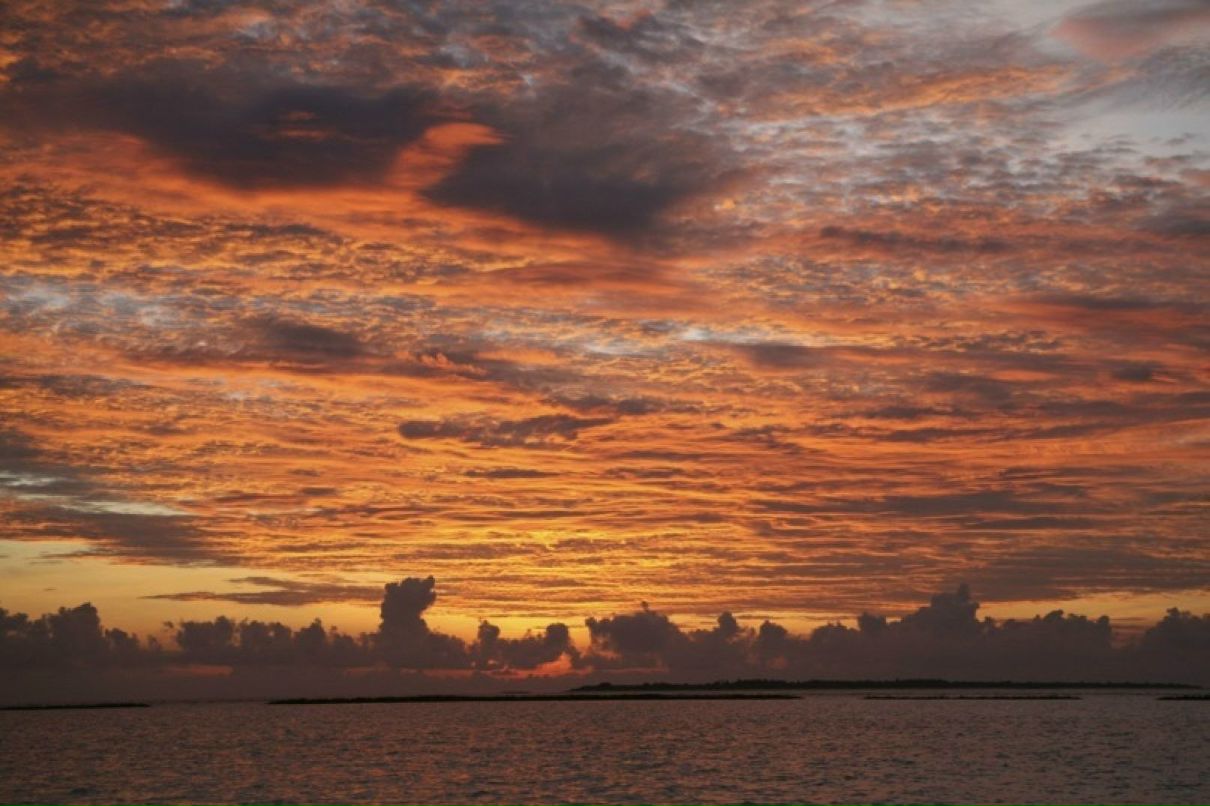 Артур Буковский | Киев