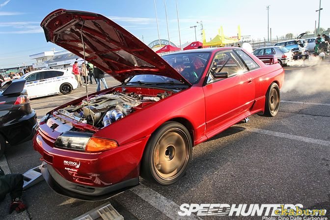 Вовчик Масливец | Черновцы