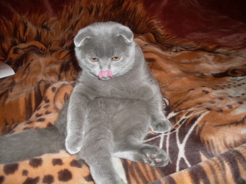 Наталья Маркитан | Москва