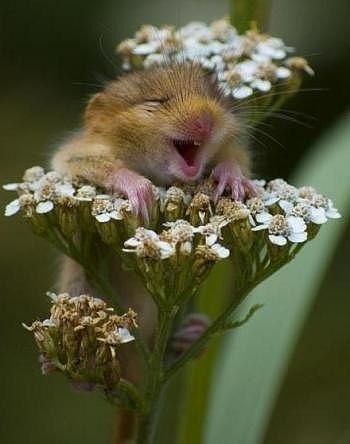 №97, Александр Шабалин, 40 лет, Омск №97, Александр Шабалин, 40 лет, Омск