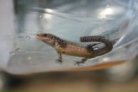 №9 Наталья Беляева 23.07: профиль, фото, статус - ВКонтакте