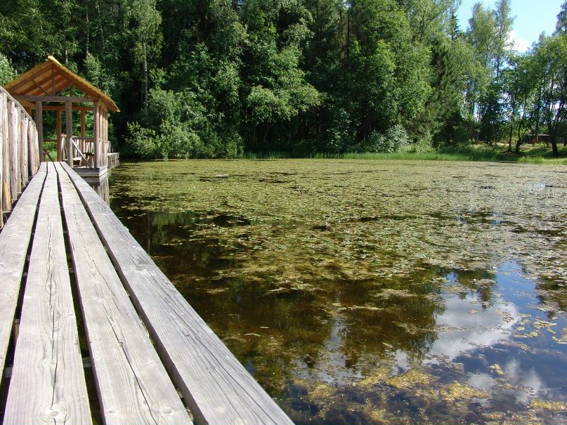 Наталья Шалухина | Москва