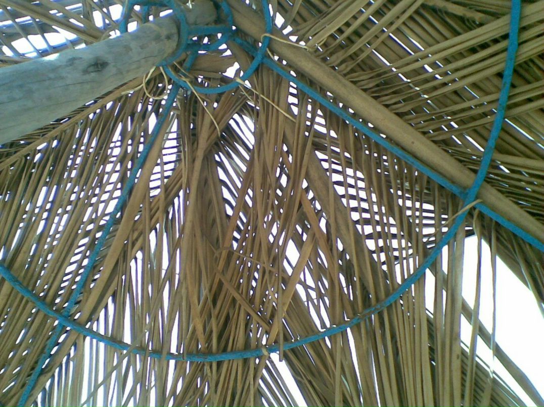 Александра Сашнева | Москва