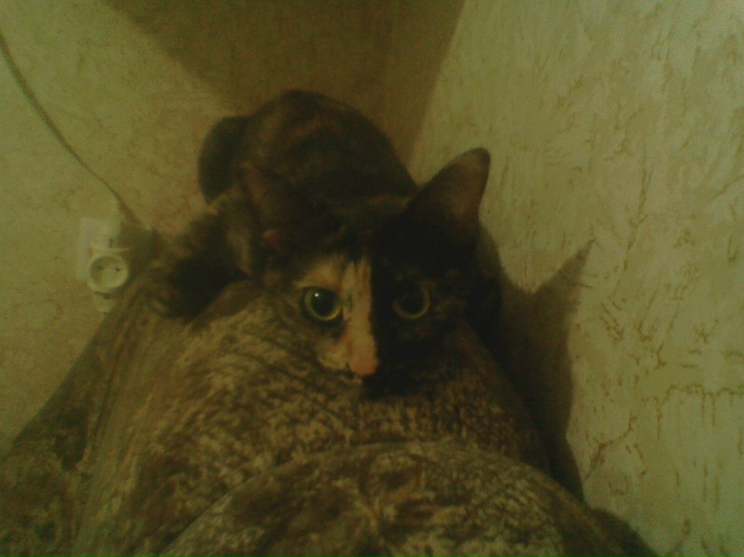 Александр Меряшин Петрович | Тюмень