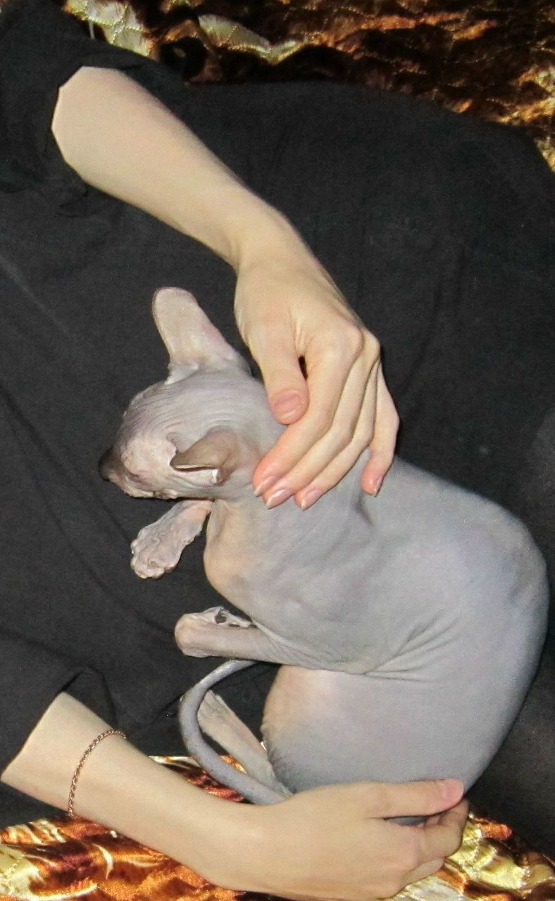 Marina Nikiforova | Екатеринбург