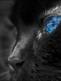 Оксана Пляшко | Ровно