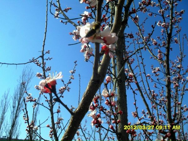 №6, Шухрат Бобохужаев №6, Шухрат Бобохужаев