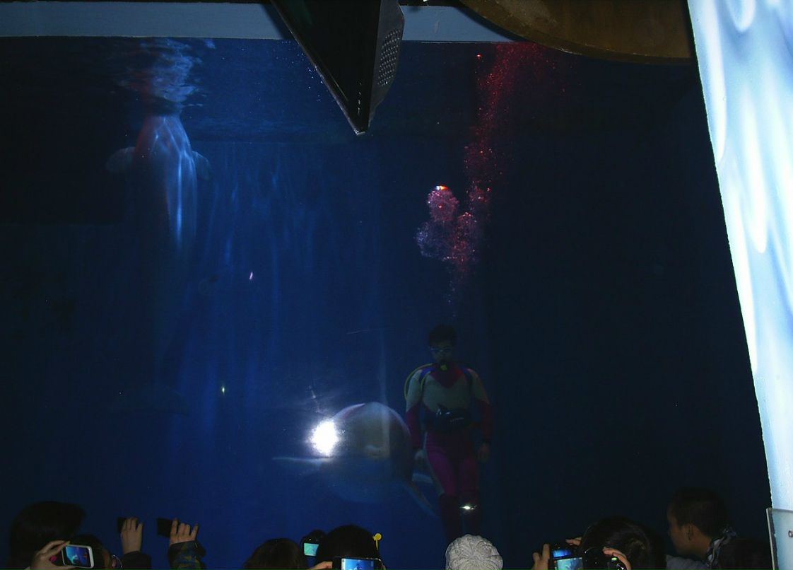 Сергей Пономарев ˙·٠✈ | Новосибирск