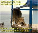 Фотография Мария Романова