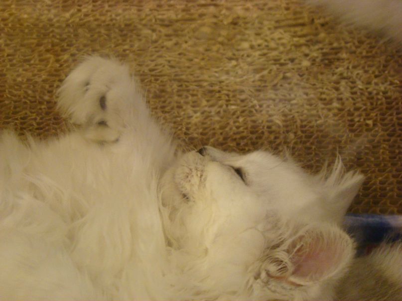 Наталья Маруда mini | Ростов-на-Дону