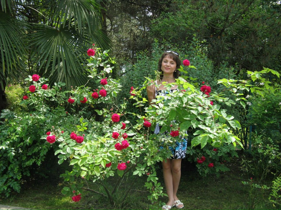 Гульшат Зиннатова | Тюлячи