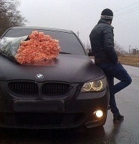 Дмитрий Нестеров фото профиля #6