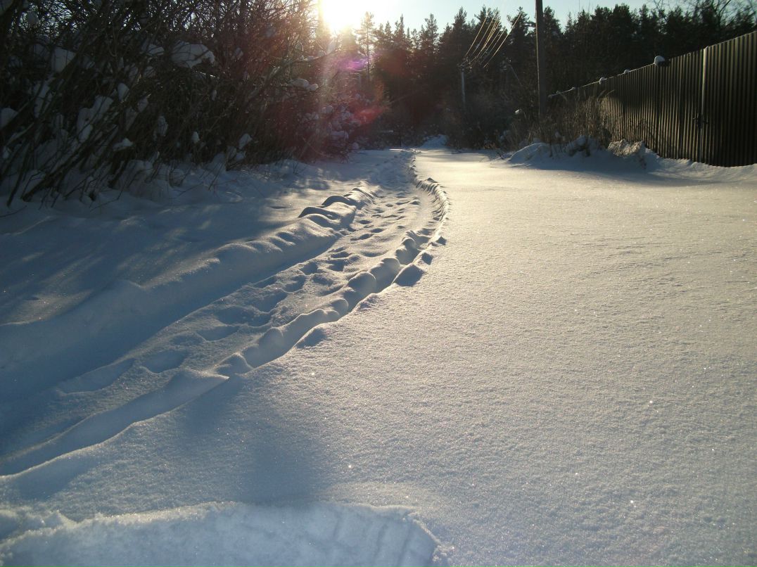 Наталья Меренкова | Санкт-Петербург