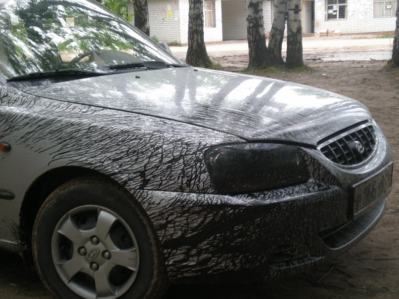 Татьяна Фасахова-Желонкина | Казань