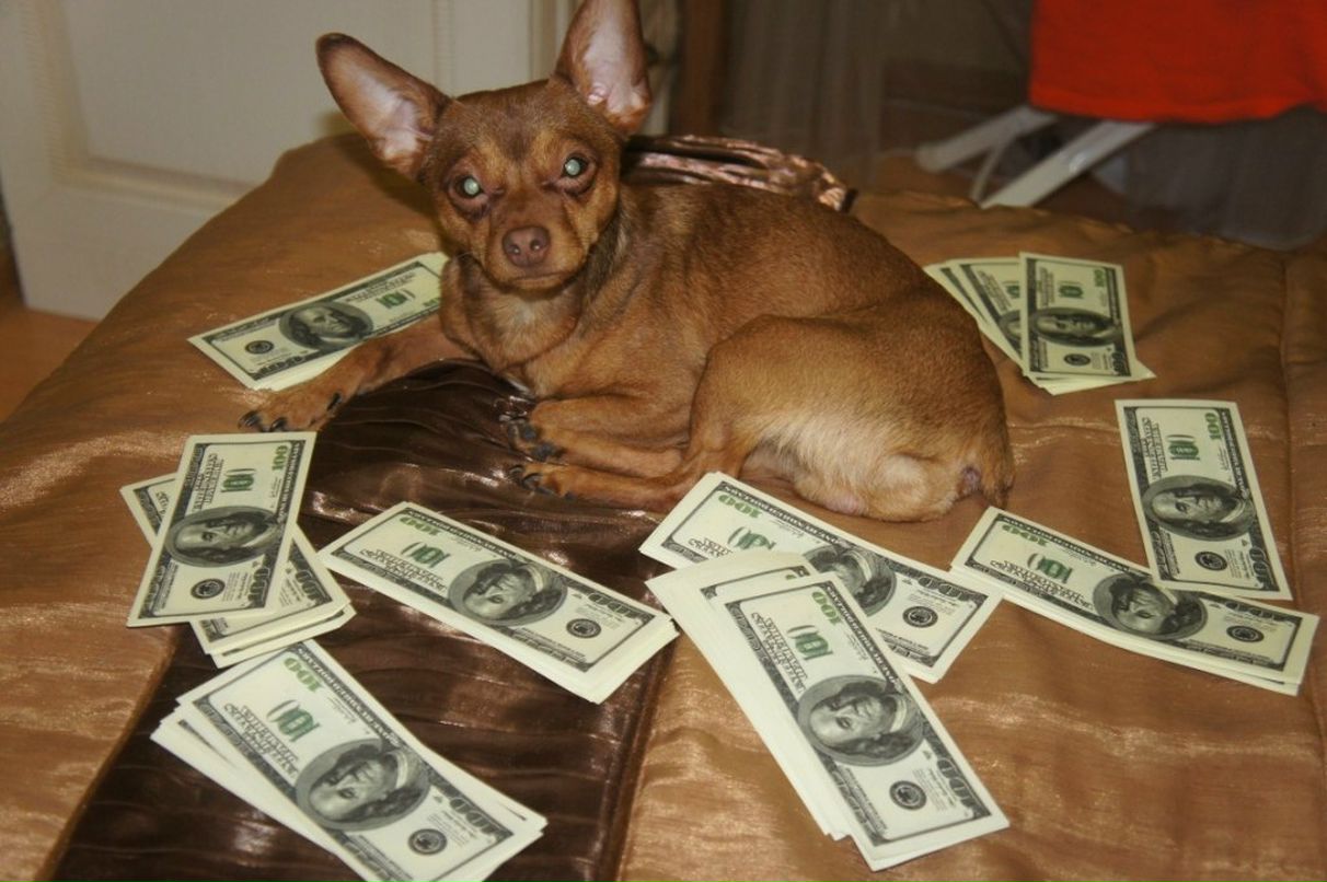 Денис Дерезовский | Сургут