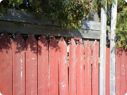 №26, Николай Ковальчук, Горишние Плавни / Комсомольск №26, Николай Ковальчук, Горишние Плавни / Комсомольск