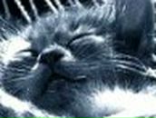 Оксана Елизарова | Воткинск